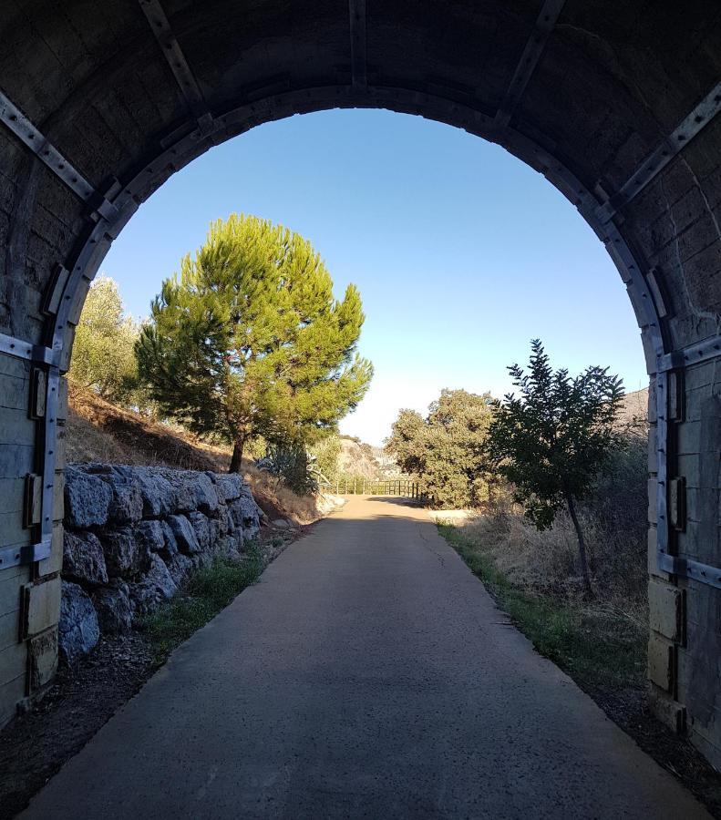 Olive Tree Bed And Breakfast Olvera Exterior foto